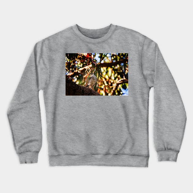 Brown Goshawk_VOA8386 Crewneck Sweatshirt by seadogprints